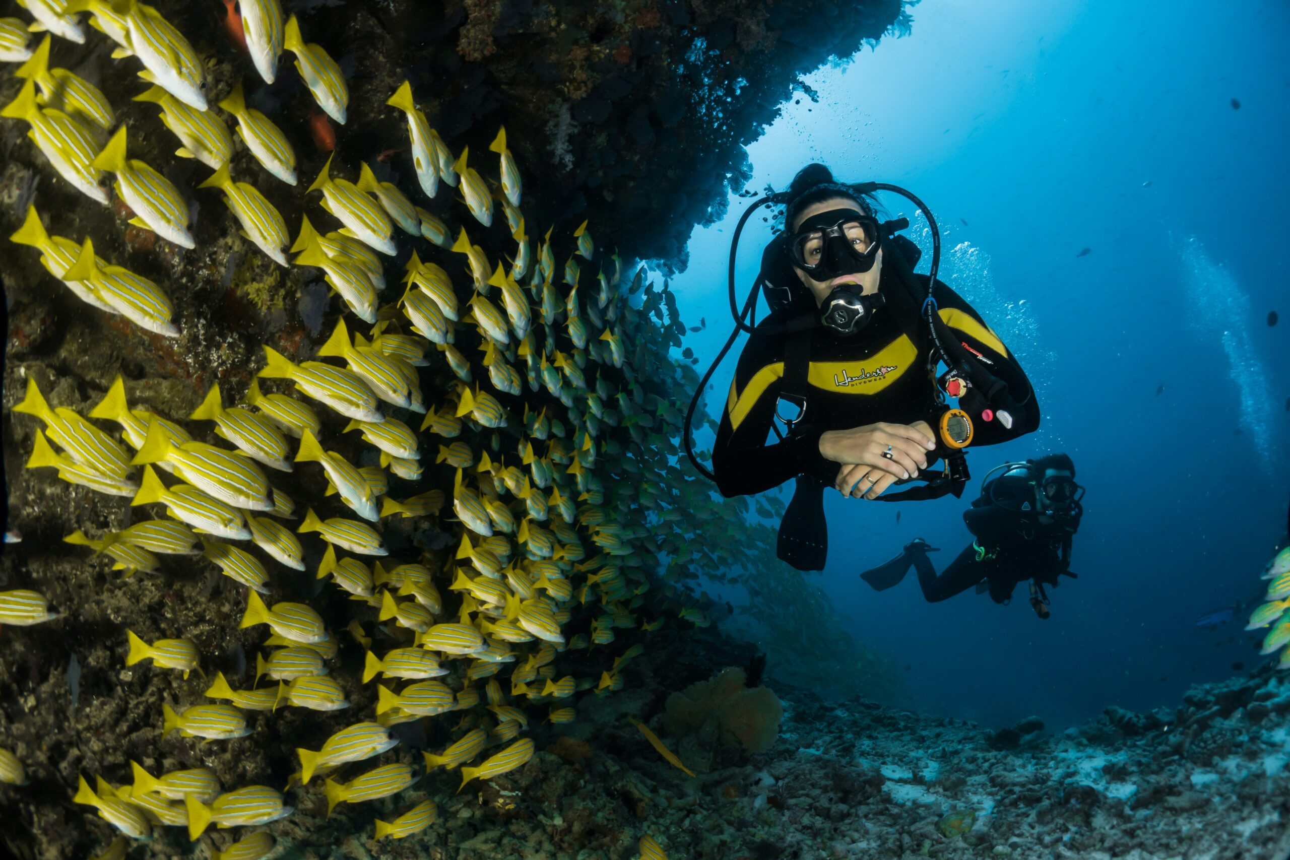 Buceo o Snorkel